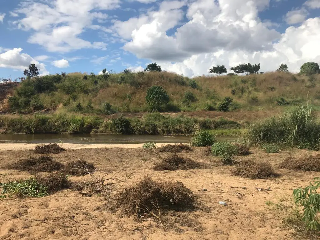 Haitiano herido en riña en Juana Méndez es encontrado sin vida