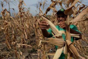 No habrá solución a la crisis climática sin más justicia social FOTO: FUENTE EXTERNA