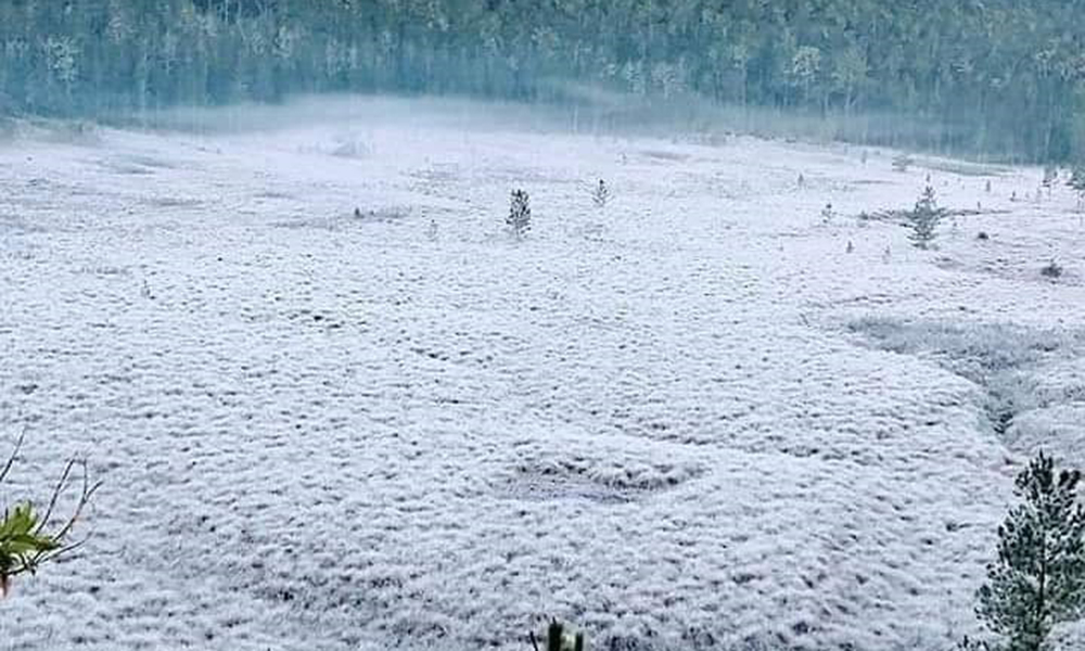 En Valle Nuevo, las temperaturas descendieron a -10 grados Celsius, consideradas de las más bajas de los últimos 10 años. 