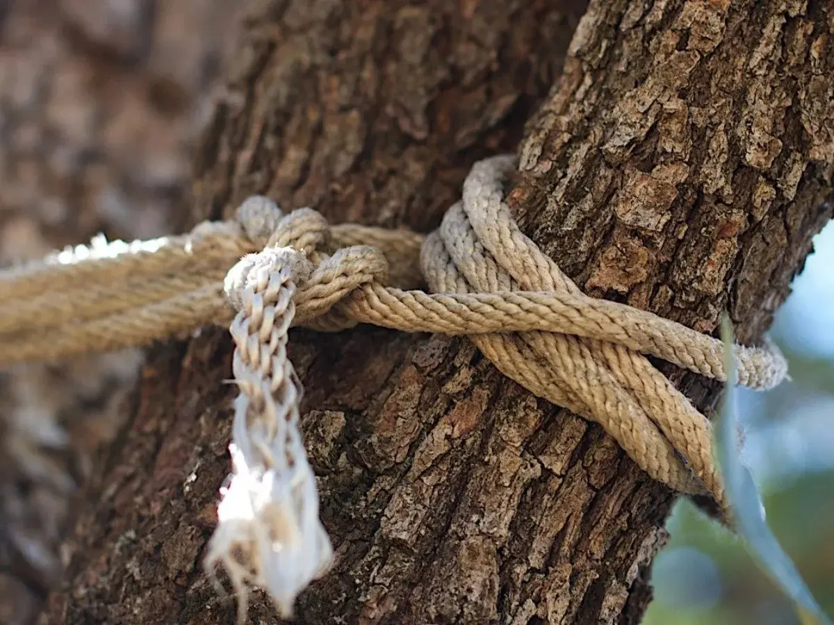 Turba amarra a árbol hombre creen mató ex pareja