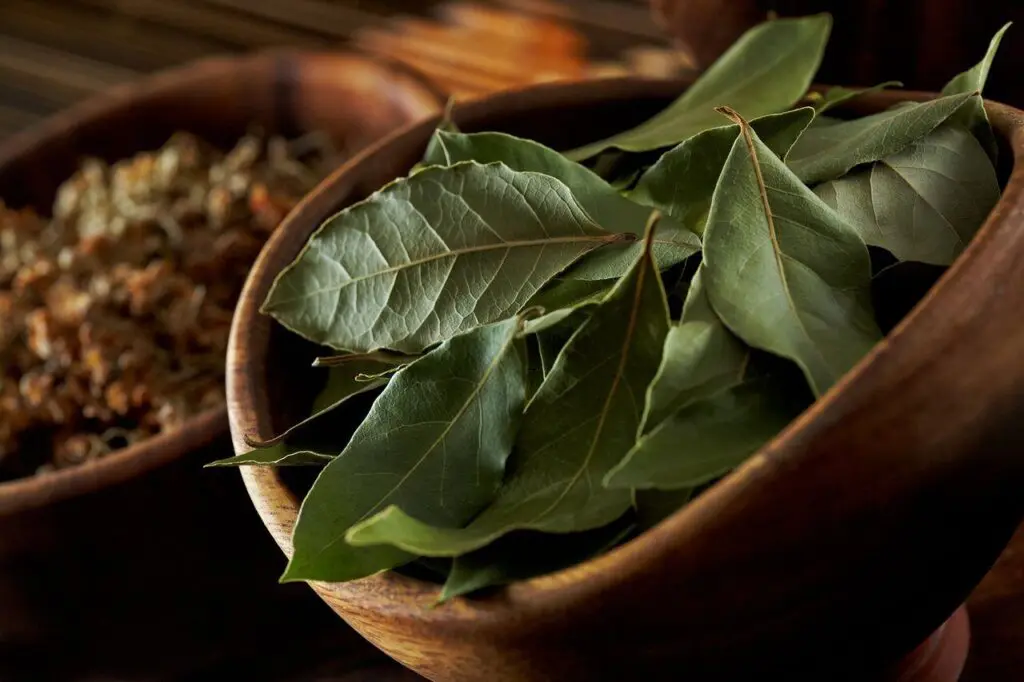 Dejar de roncar es posible con esta solución natural