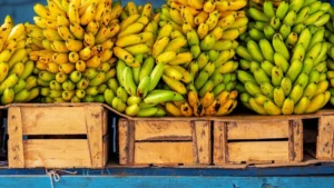 Rusia prohíbe importación de bananas de Ecuador