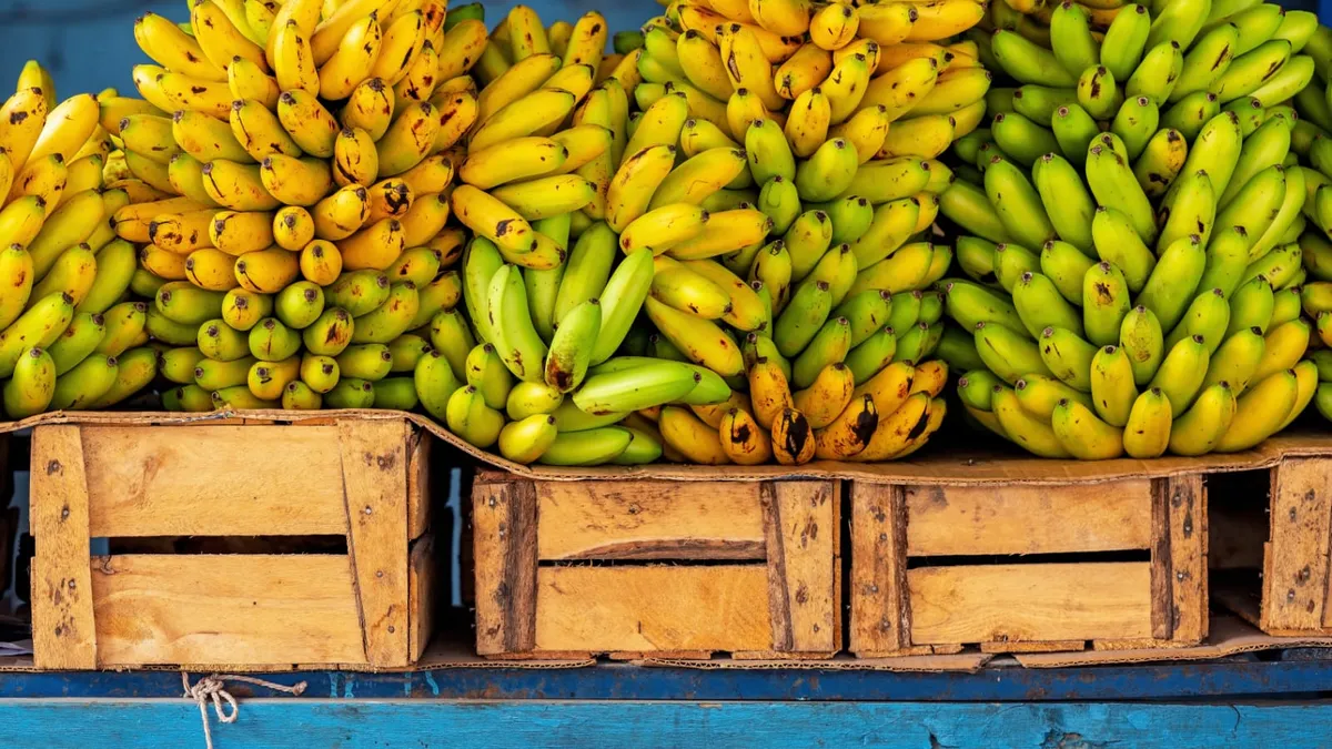 Rusia prohíbe importación de bananas de Ecuador