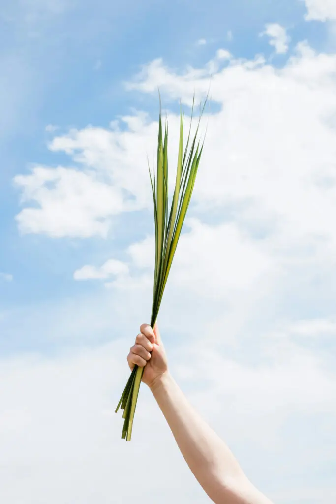 50 FRASES de Semana Santa 2024 para Jueves y Viernes Santo