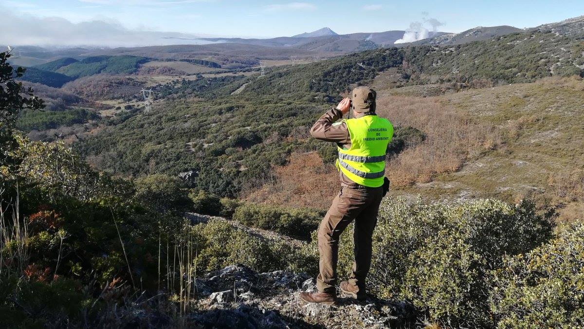 Día Mundial de los Guardas Forestales