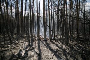 En la imagen de archivo, vista de un incendio en Fort McMurray, Alberta, Canadá. EFE/AMRU SALAHUDDIEN