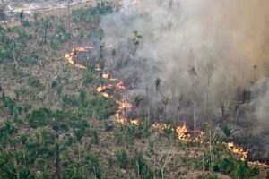 Corte Suprema de Brasil ordenó a Lula da Silva movilizar militares contra los incendios forestales