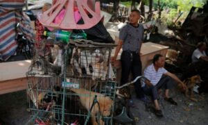 Unos vendedores junto a varios perros y gatos metidos en jaulas en un mercado chino, en una imagen de archivo. EFE/Wu Hong