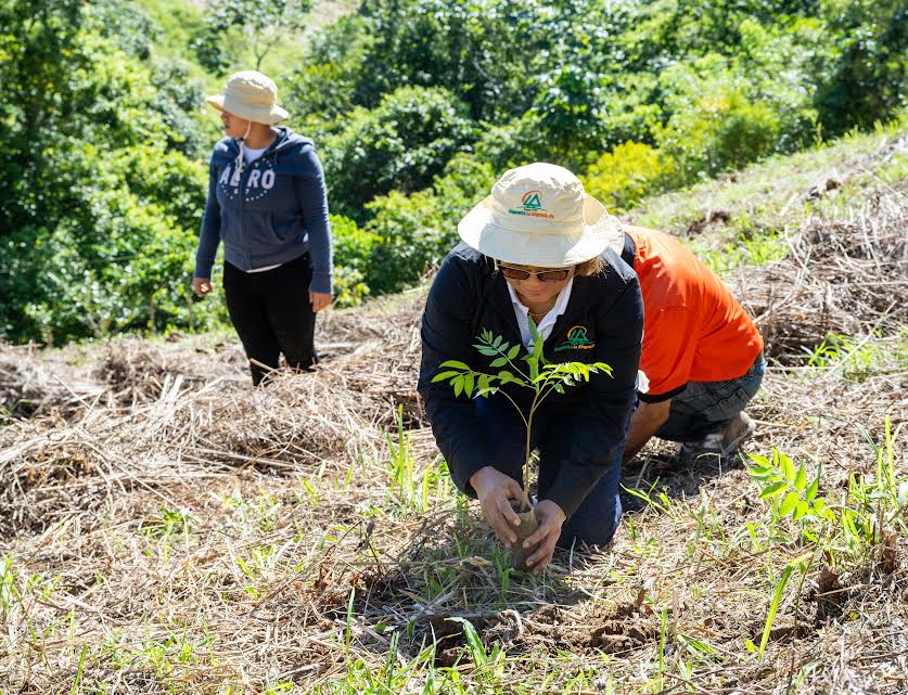 Cooperativa La Altagracia