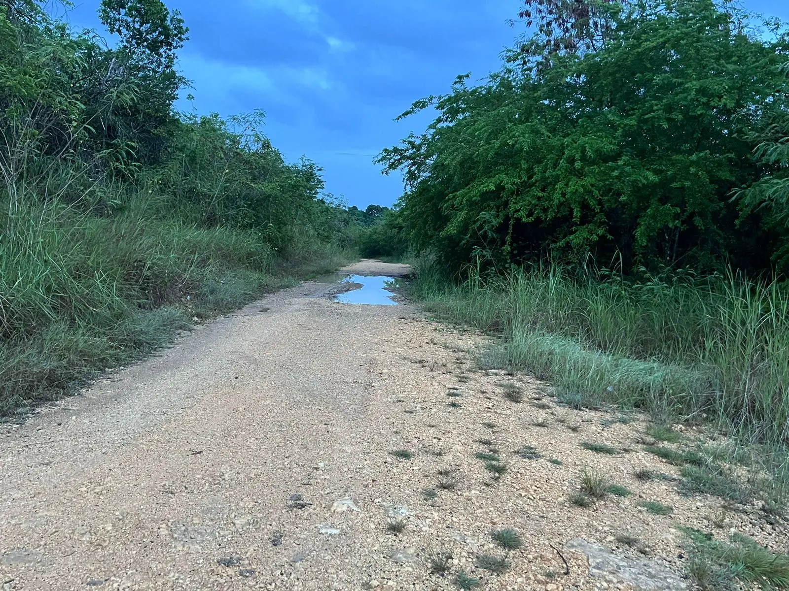 Cansados de caminar en el lodo se encuentran residentes de Cercadillo en Villa Mella (Foto Yolanda Urbano)