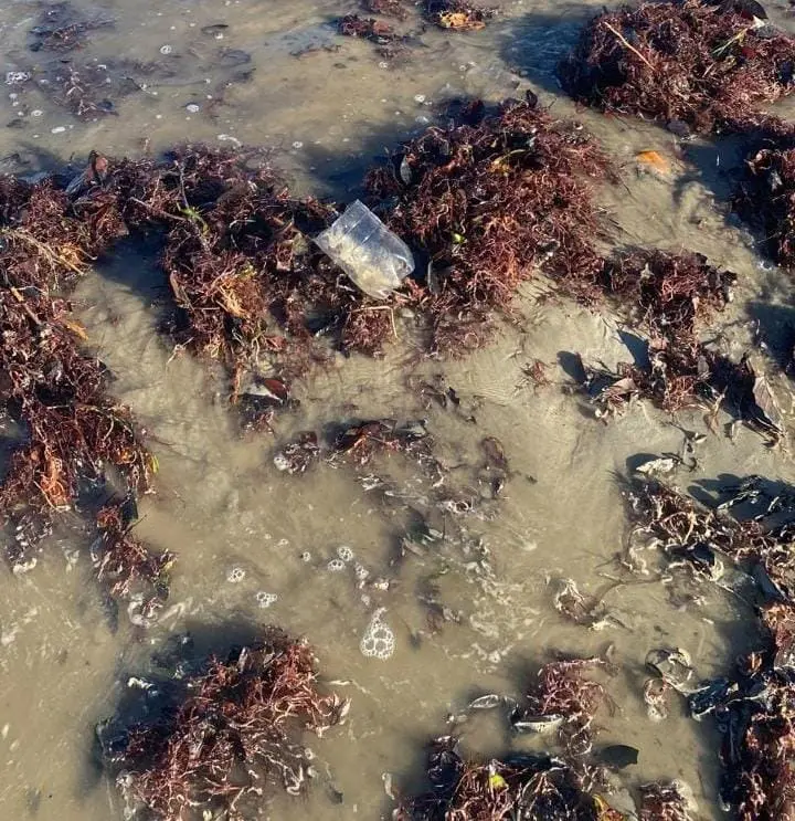 Recuperan cadáveres de dos pescadores en río Jovero en Miches y Yabón en Sabana de la Mar