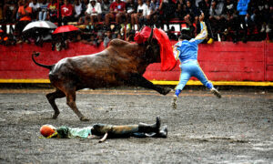 Corrida de toros, una pasión cultural que perdura en El Seibo (Fotos de Danny Polanco)