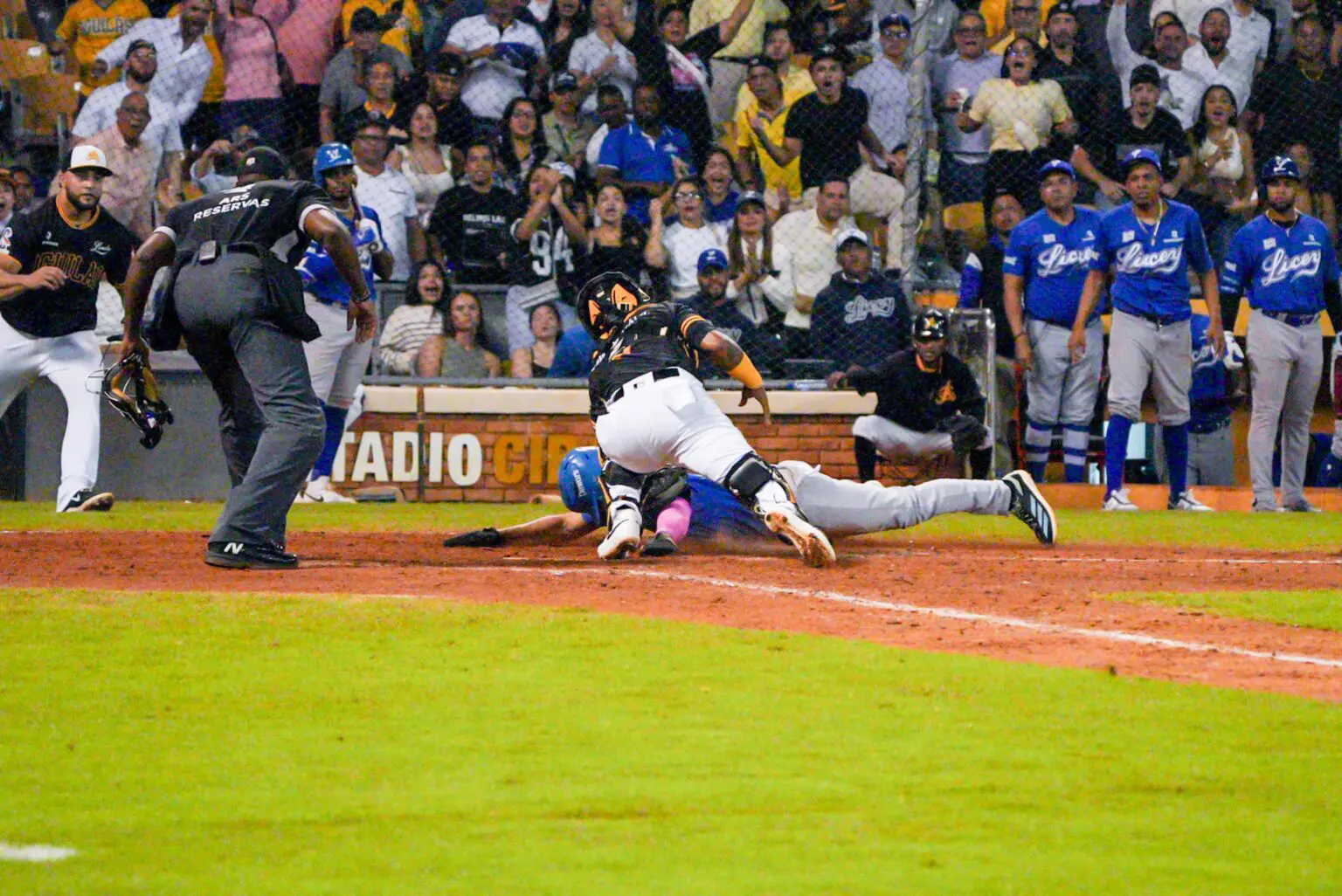 Licey buscará frenar la racha de las Águilas en su serie particular 2024 de LIDOM