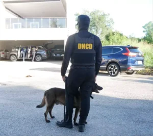 Refuerzan con más agentes y unidades caninas aeropuertos y puertos por época navideña