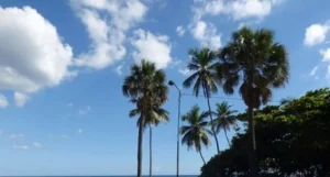 Viernes soleado y escasas lluvias, según Indomet