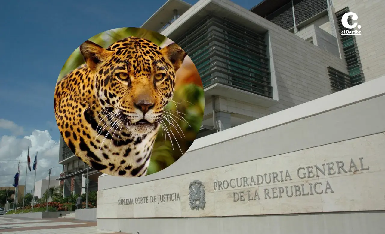 Alcalde de Bayahibe y su hijo arrestados en Operación Panthera