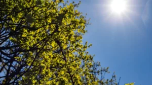 Pocas lluvias y temperaturas agradables para este jueves, según el Indomet