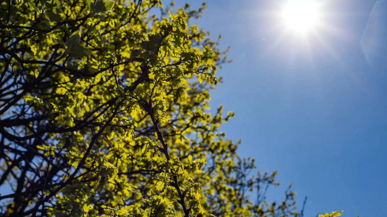 Pocas lluvias y temperaturas agradables para este jueves, según el Indomet