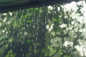 Este martes lluvias matutinas aisladas y pasajeras hacia las costas