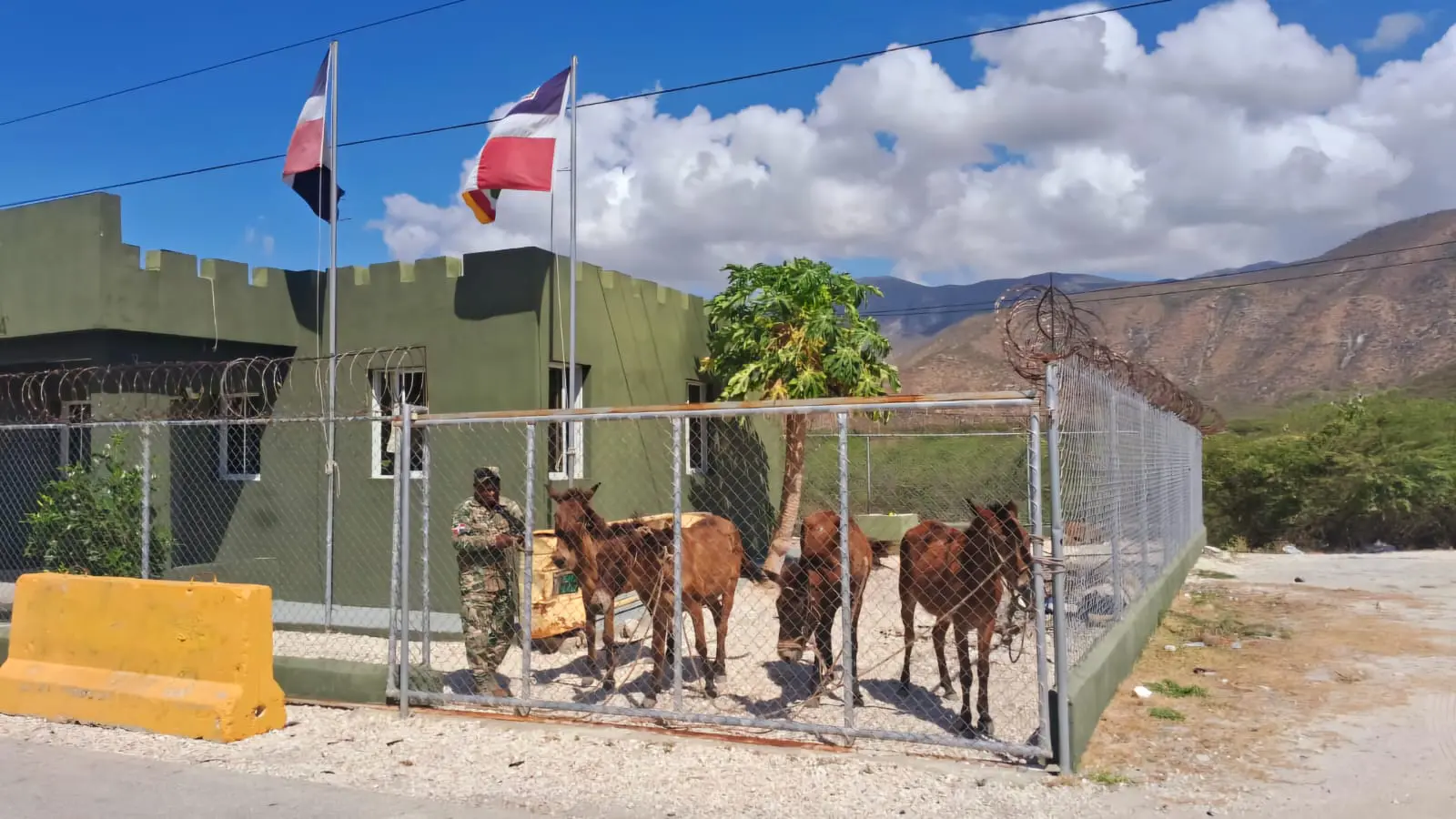 Ejército decomisa 1,021 cajas de cigarrillos que eran transportados en mulos en Independencia