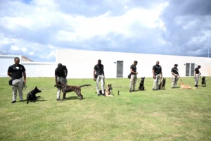 AERODOM dona caninos y equipos tecnológicos al CESAC para potenciar la seguridad aeroportuaria