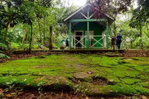 El parque Humedales del Ozama es un paraíso escondido entre manglares a solo minutos de la ciudad