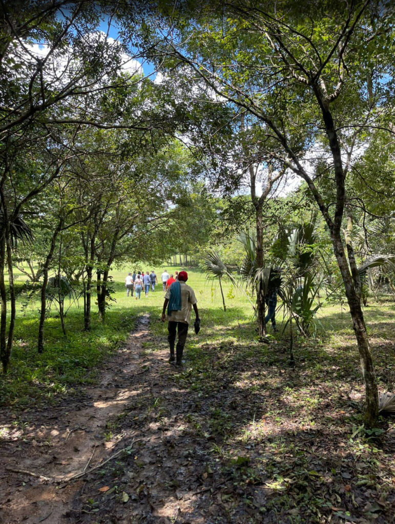 Parque Nacional Humedales del Ozama