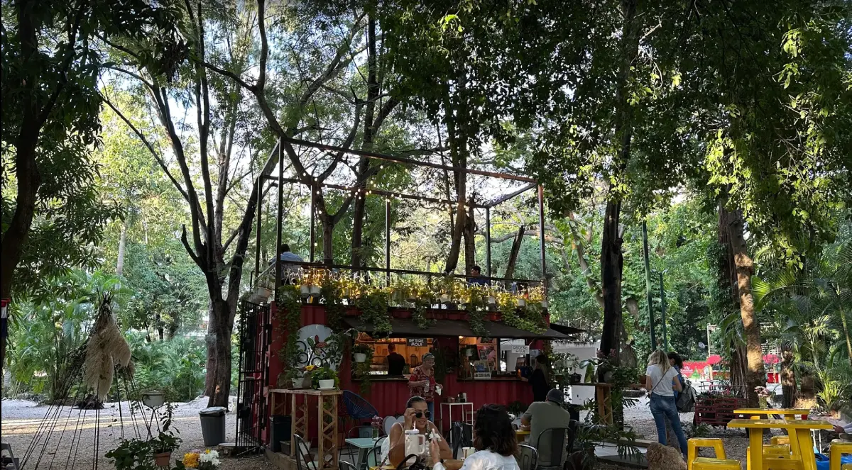 Clientes disfrutando de café al aire libre en Colaito del Mirador