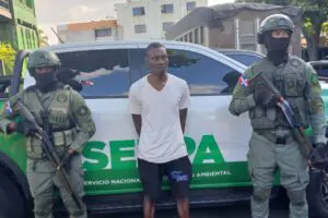 Detiene haitiano que mató tiburón en playa Guayacanes