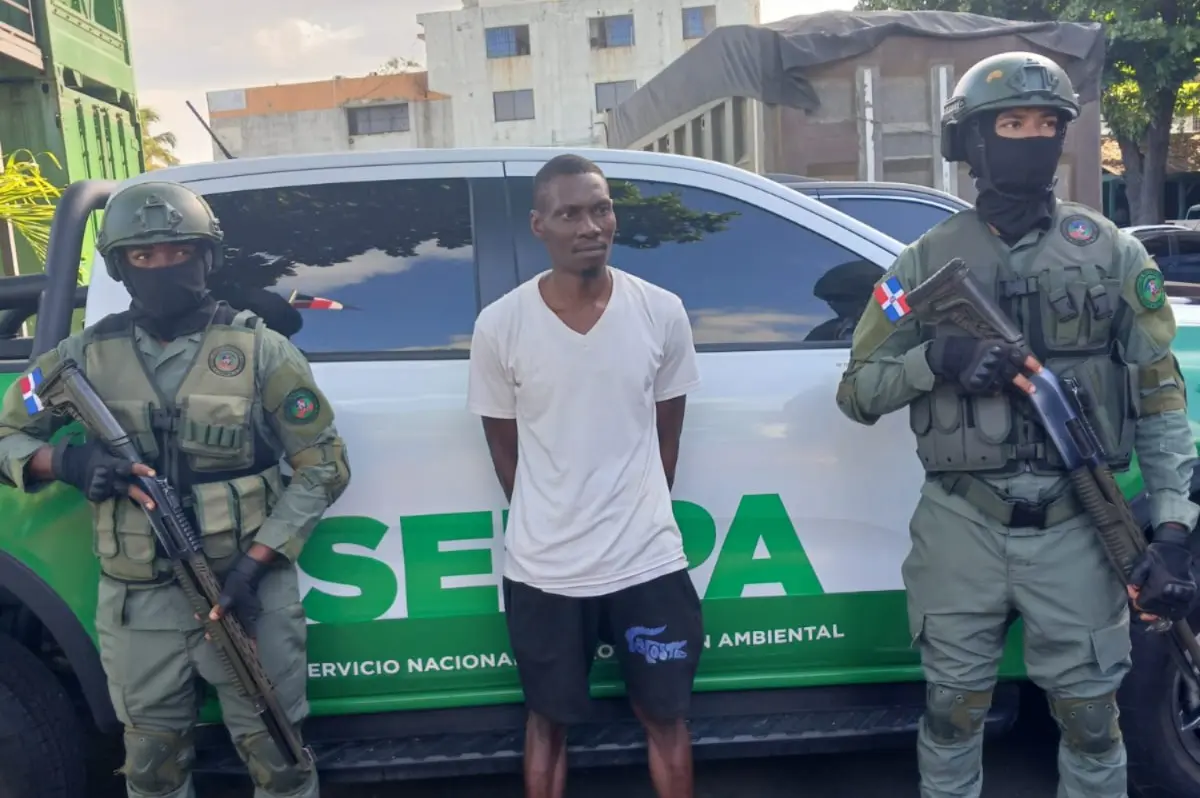 Detiene haitiano que mató tiburón en playa Guayacanes