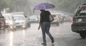 Temperaturas calurosas y algunos aguaceros locales