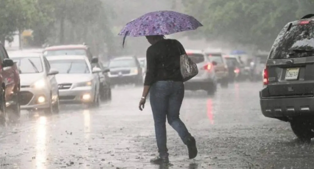 Temperaturas calurosas y algunos aguaceros locales