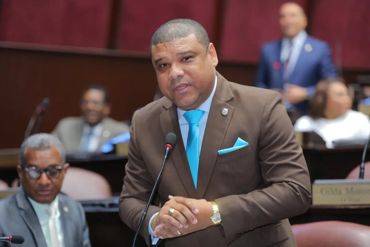 Diputado denuncia deterioro principales avenidas de SDN es alarmante