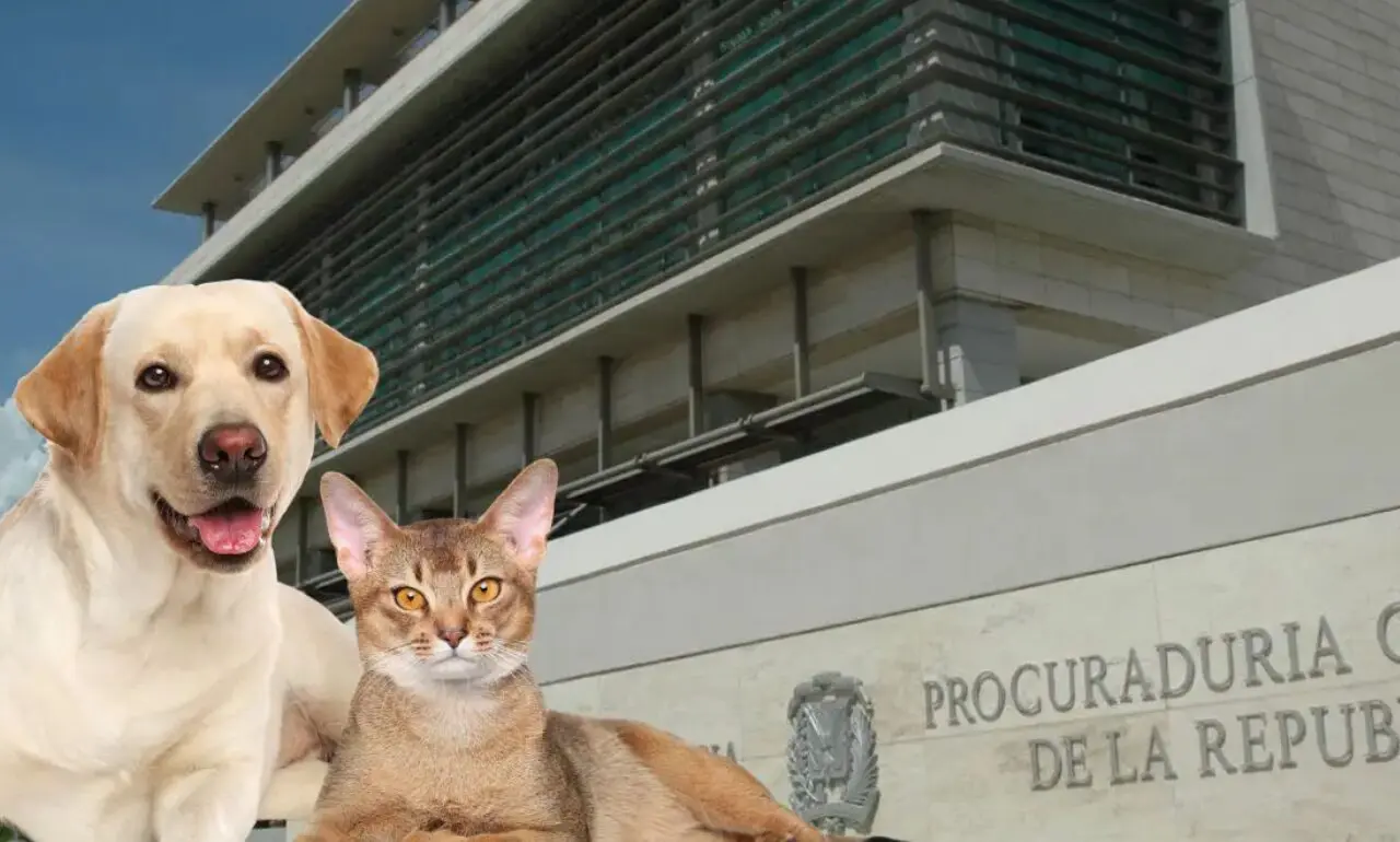La justicia dominicana toma cartas en el asunto de los animales