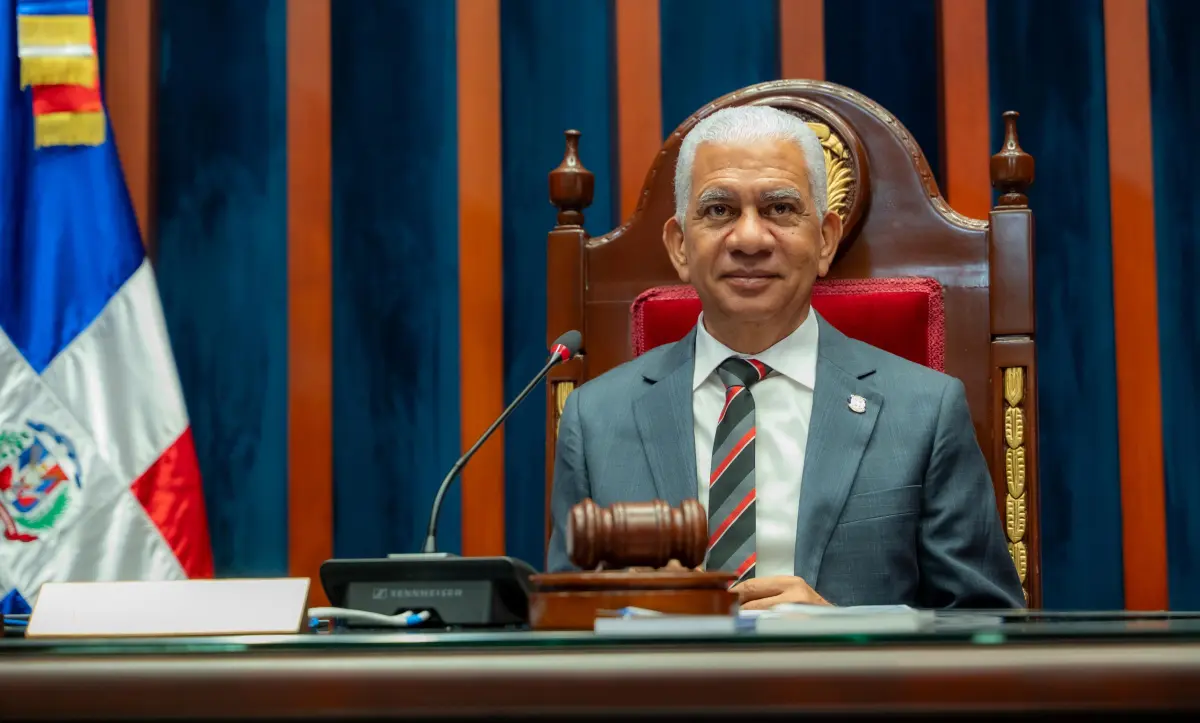 El presidente del Senado, Ricardo de los Santos, solicitó la auditoría a la Cámara de Cuentas