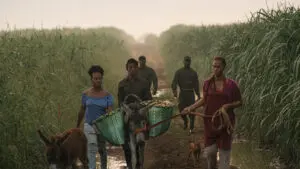 La película tuvo su premier mundial en el Festival de Venecia 2024. FUENTE EXTERNA