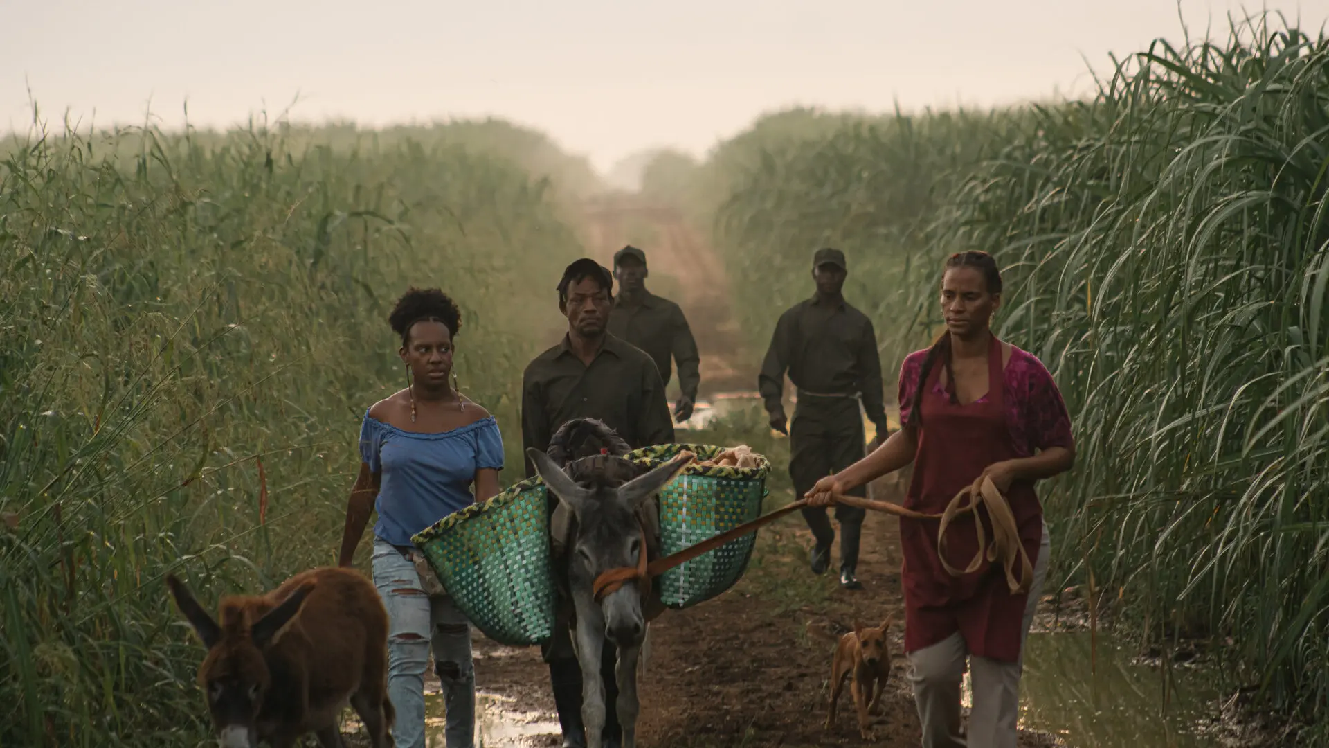 La película tuvo su premier mundial en el Festival de Venecia 2024. FUENTE EXTERNA