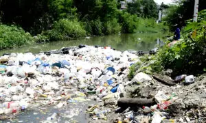 El río Ozama es un anticipo de la crisis ambiental que amenaza a RD