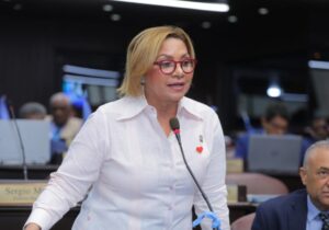 La diputada del Partido Revolucionario Moderno (PRM), Soraya Suárez