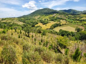 Comunidades Caribeñas Resilientes: amenazas por degradación del suelo