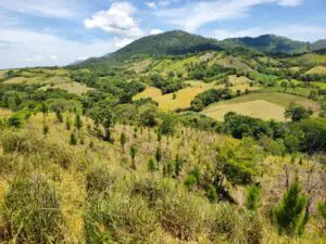 Comunidades Caribeñas Resilientes: amenazas por degradación del suelo