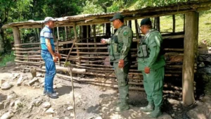 SENPA y Medio Ambiente clausuran criadero de cerdos ilegal en La Vega