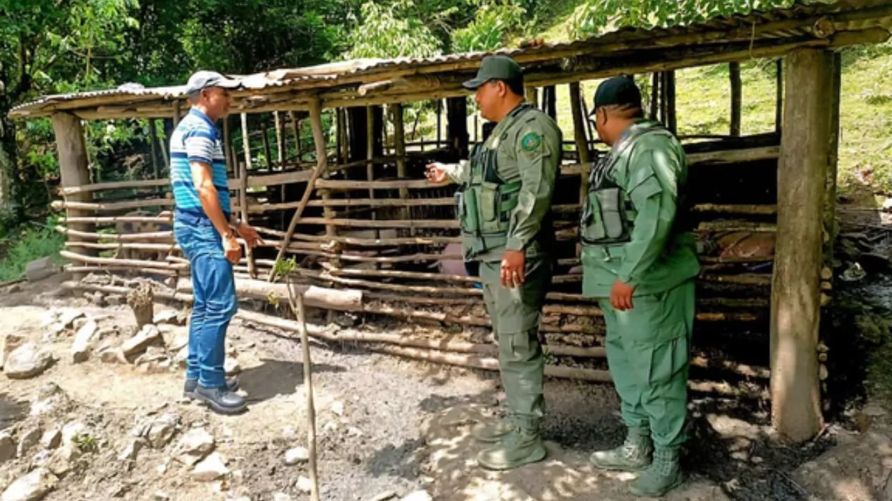 SENPA y Medio Ambiente clausuran criadero de cerdos ilegal en La Vega