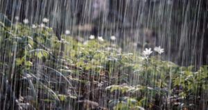Onda tropical traerán lluvias al país este fin de semana