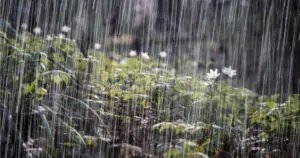 Onda tropical traerán lluvias al país este fin de semana