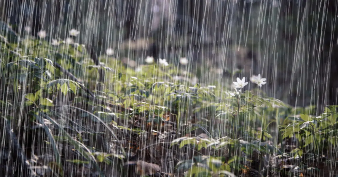 Onda tropical traerán lluvias al país este fin de semana