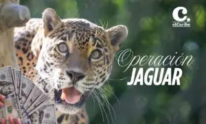 Lo que incautaron en los allanamientos de la Operación Jaguar