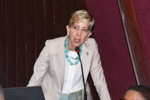 Senadora Bournigal cuestiona campaña presidencial anticipada del PRM por ser 
