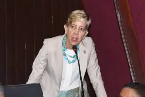 Senadora Bournigal cuestiona campaña presidencial anticipada del PRM por ser 