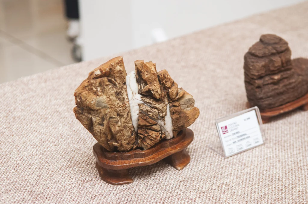 El suiseki muestra las piedras convertidas en arte.